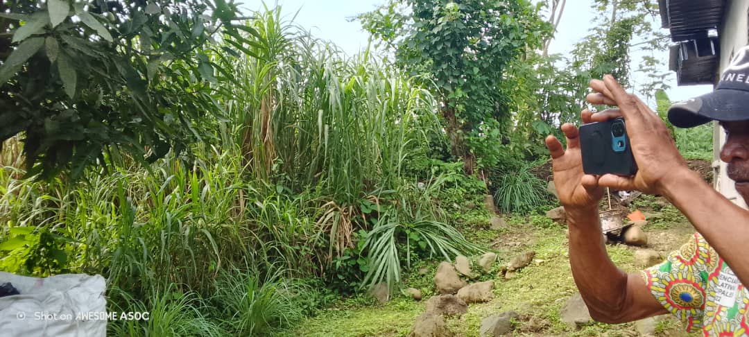 Terreno